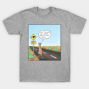 Kangaroo wants to meet females T-Shirt